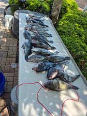 Fishing in St. Marys, Georgia