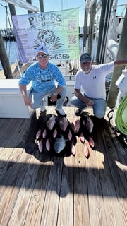 Fishing in Panama City, Florida