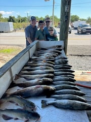 Fishing in Delacroix, Louisiana