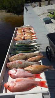 Fishing in Clearwater, Florida