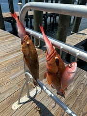 Fishing in Panama City, Florida