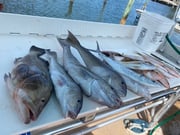 Fishing in Key West, Florida
