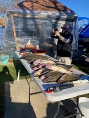Walleye Fishing in Oak Harbor, Ohio