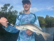 Fishing in Port Charlotte, Florida