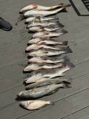 Fishing in Port Isabel, Texas