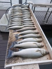 Fishing in Kingston, Oklahoma
