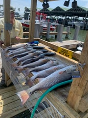 Fishing in Port Isabel, Texas