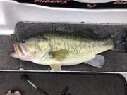 Fishing in Sulphur Springs, Texas