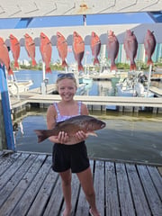 Fishing in Orange Beach, Alabama