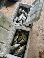 Fishing in Jasper, Texas