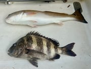 Fishing in D'Iberville, Mississippi