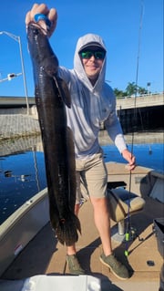 Fishing in Fort Lauderdale, Florida