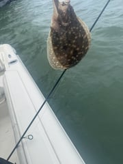 Fishing in Gulf Shores, Alabama