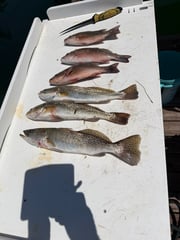 Fishing in Saint James City, Florida