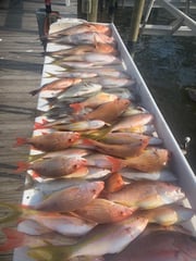Fishing in Fort Myers Beach, Florida