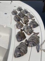 Fishing in Panama City, Florida