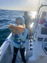 Fishing in Sarasota, Florida