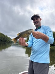 Fishing in Strasburg, Virginia