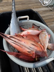 Fishing in Panama City, Florida