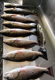 Fishing in D'Iberville, Mississippi