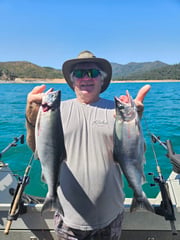 Fishing in Hayfork, California