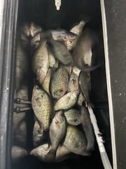 Fishing in Willis, Texas