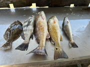 Fishing in Bolivar Peninsula, Texas
