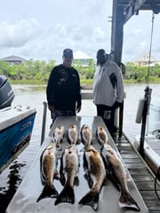 Fishing in Saint Bernard, Louisiana