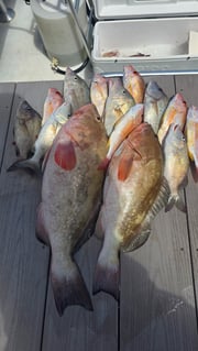 Fishing in Bradenton Beach, Florida