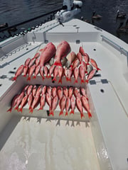 Fishing in Pensacola, Florida