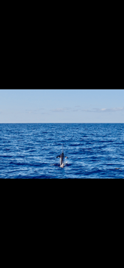 Fishing in Wharton, Texas
