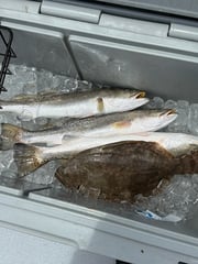 Fishing in Matagorda, Texas