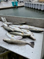Fishing in Corpus Christi, Texas