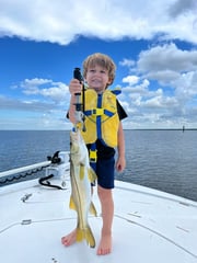Snook Fishing in Hudson, Florida