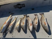 Fishing in Savannah, Georgia