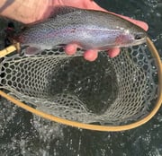 Fishing in Bend, Oregon