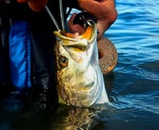 Fishing in Port Aransas, Texas