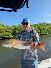 Fishing in Tampa, Florida