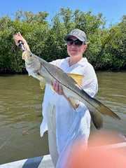 Fishing in Punta Gorda, Florida