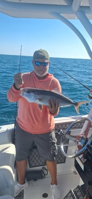 Fishing in Sarasota, Florida