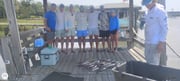 Fishing in Johns Island, South Carolina