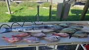 Fishing in Jacksonville, Florida