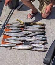 Fishing in Mattawa, Washington