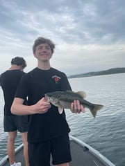 Fishing in Table Rock, Missouri