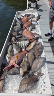 Fishing in Holiday, Florida