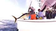 Fishing in Galveston, Texas