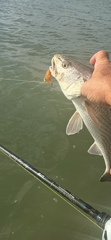 Fishing in Rockport, Texas