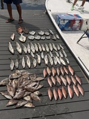 Fishing in Crystal River, Florida