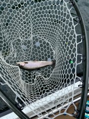 Fishing in Heber Springs, Arkansas