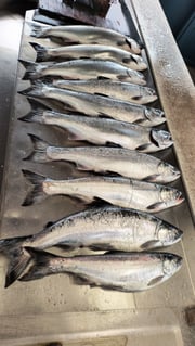 Fishing in St. Joseph, Michigan